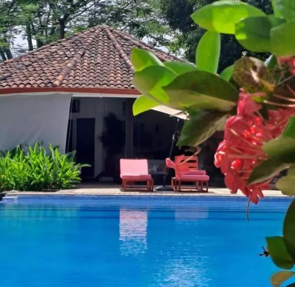 Aamiaismajoitus (B&B) Casa Mapache