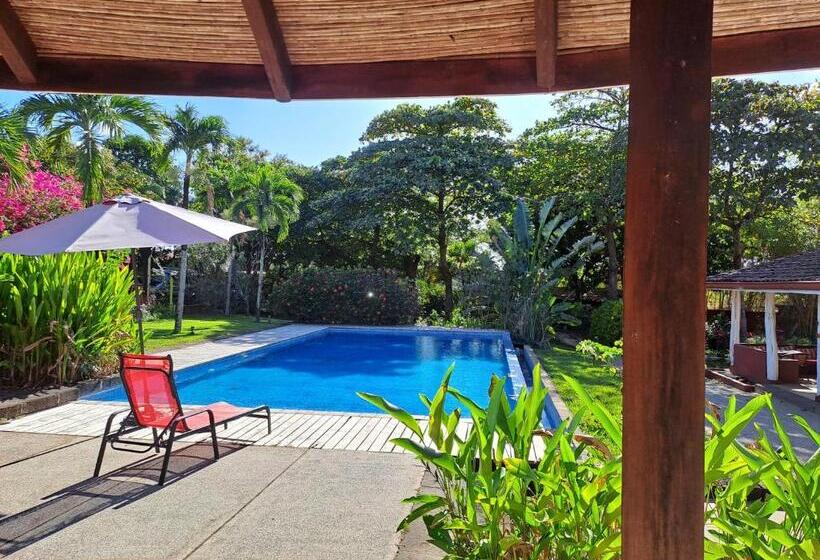 مبيت وإفطار Casa Mapache