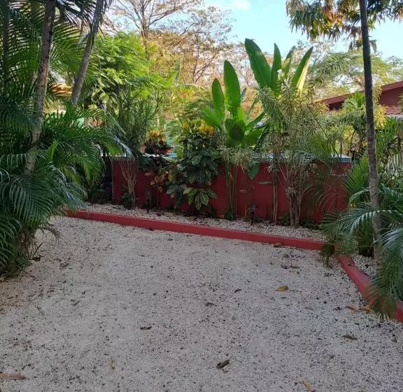 Aamiaismajoitus (B&B) Casa Mapache