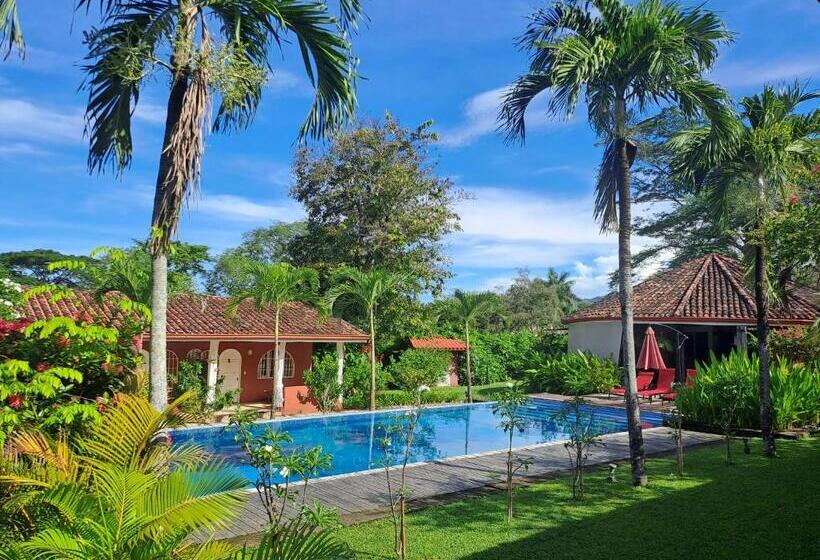 مبيت وإفطار Casa Mapache