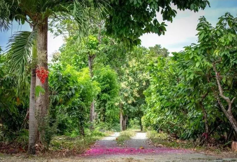 ホテル Hacienda Cacaoymango