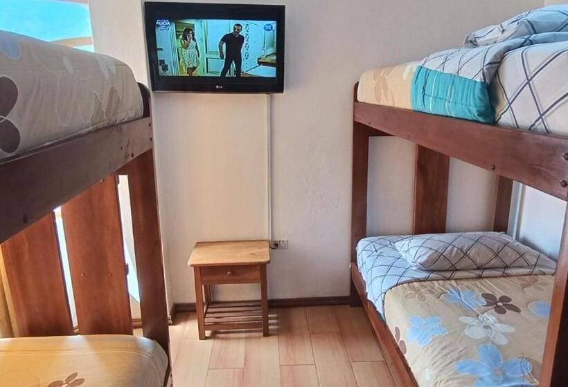 هتل Hostal Colibri 2