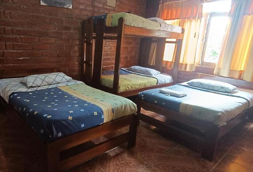 هتل Hostal Colibri 2