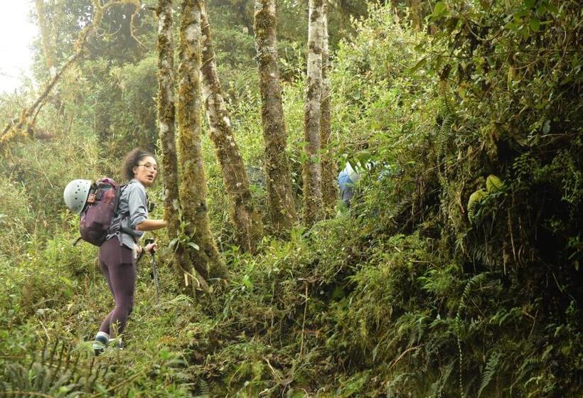 هتل Hostal Colibri 2