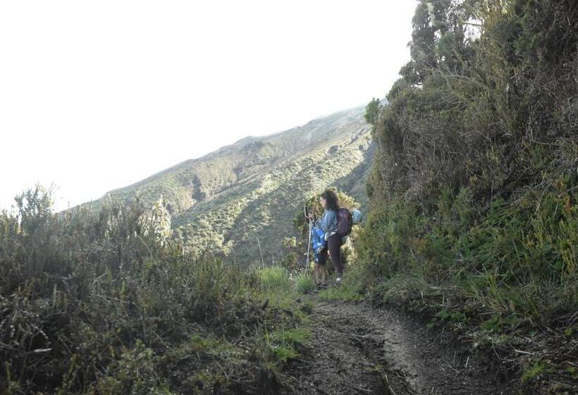 هتل Hostal Colibri 2