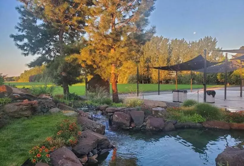 ホテル Lazy Bear Ranch