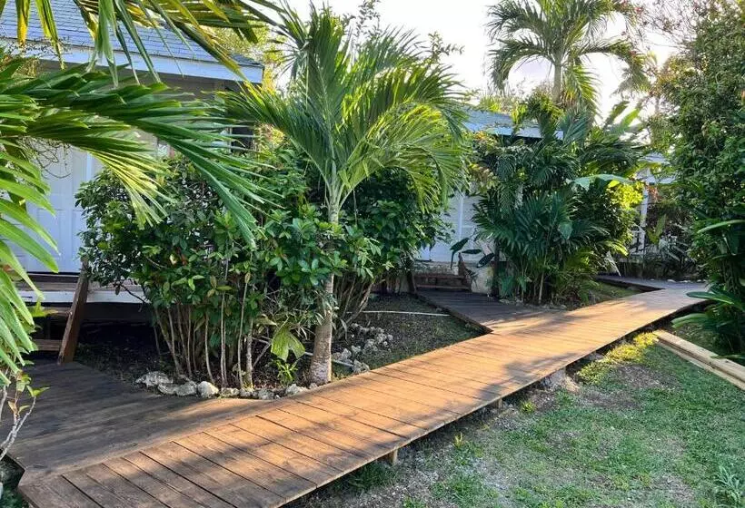 Jamaica Colors Hotel And Eco Retreat