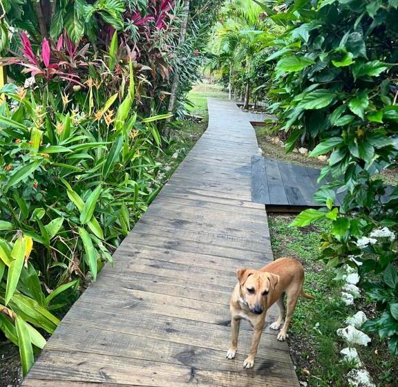 Jamaica Colors Hotel And Eco Retreat