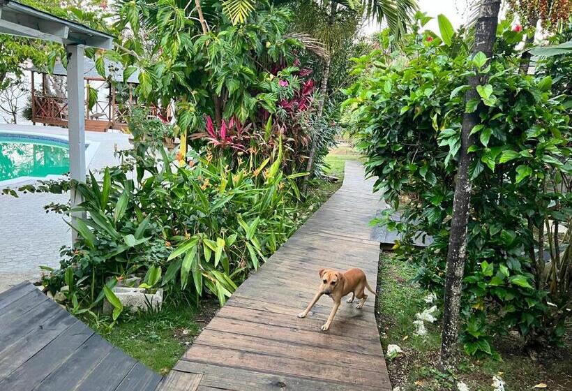 Jamaica Colors Hotel And Eco Retreat