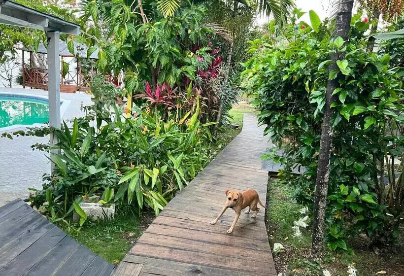 Jamaica Colors Hotel And Eco Retreat