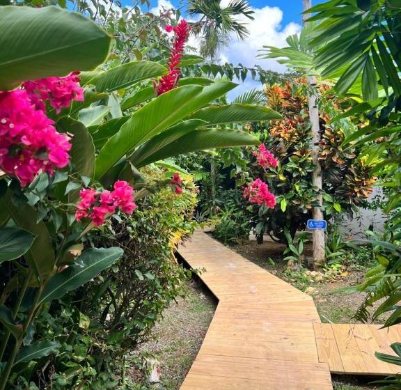 Jamaica Colors Hotel And Eco Retreat