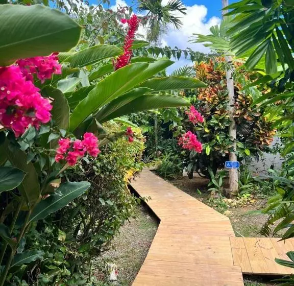 Jamaica Colors Hotel And Eco Retreat