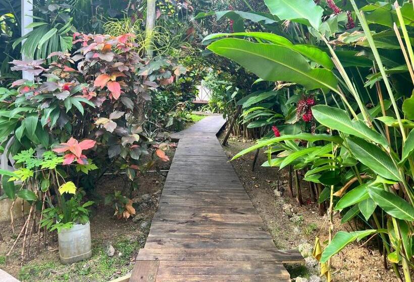 Jamaica Colors Hotel And Eco Retreat