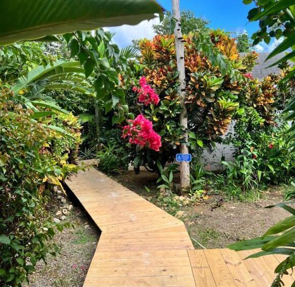 Jamaica Colors Hotel And Eco Retreat