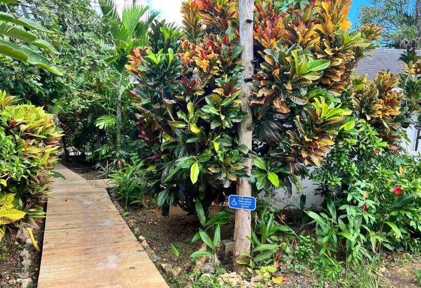 Jamaica Colors Hotel And Eco Retreat