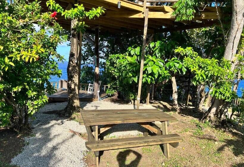 Jamaica Colors Hotel And Eco Retreat