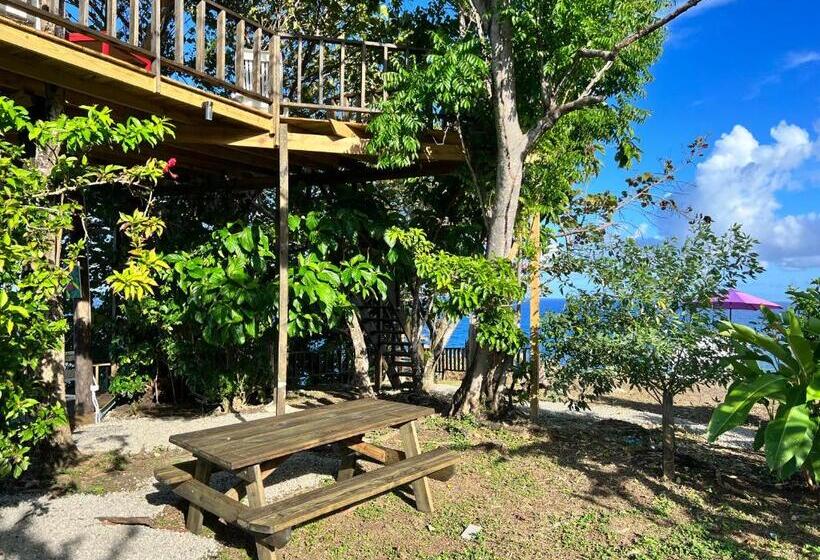 Jamaica Colors Hotel And Eco Retreat