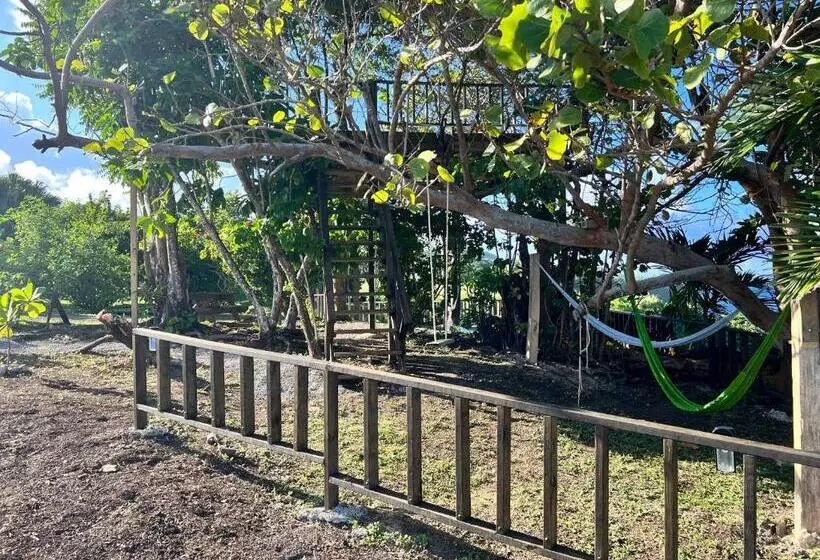 Jamaica Colors Hotel And Eco Retreat