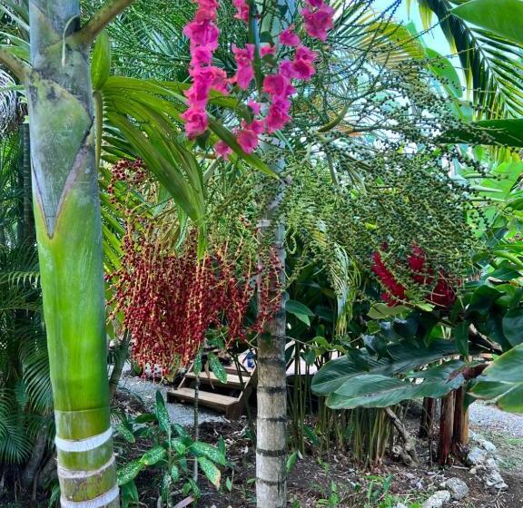 Jamaica Colors Hotel And Eco Retreat