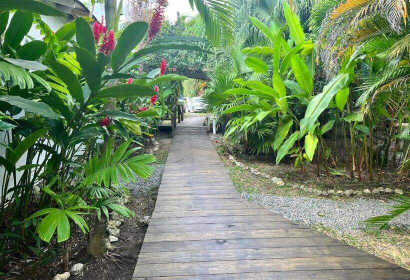 Jamaica Colors Hotel And Eco Retreat