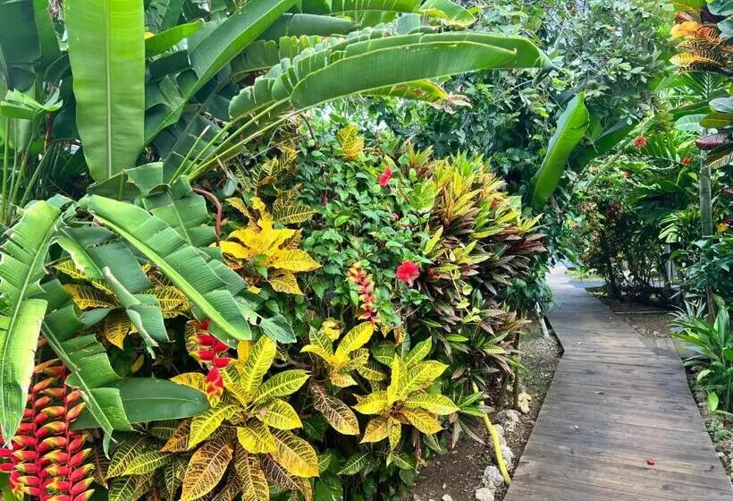 Jamaica Colors Hotel And Eco Retreat