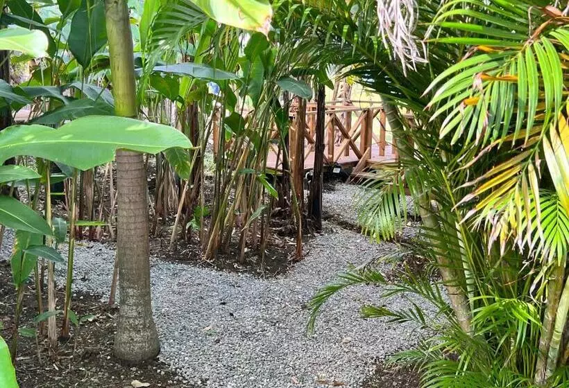 Jamaica Colors Hotel And Eco Retreat