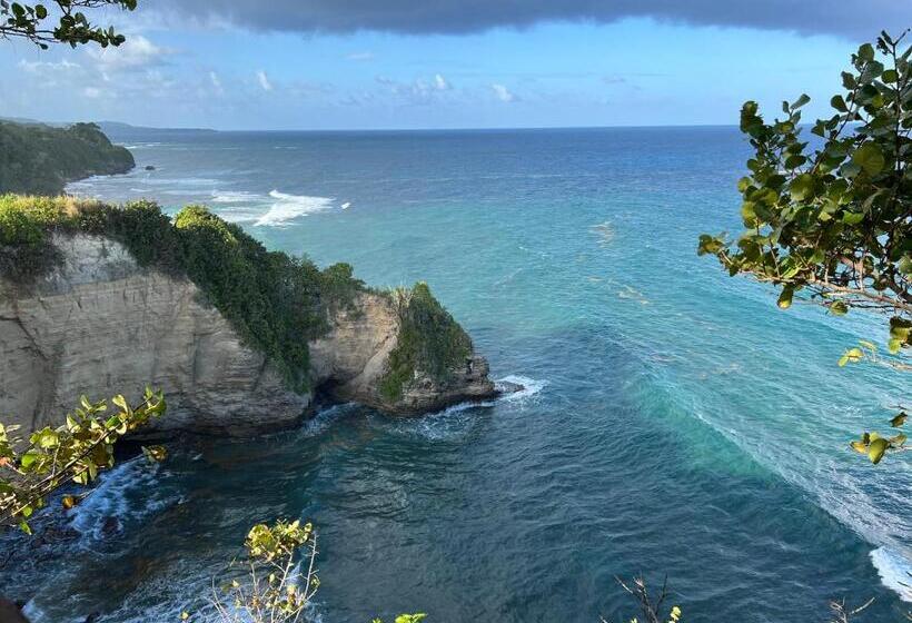 Jamaica Colors Hotel And Eco Retreat