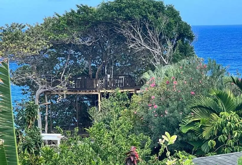 Jamaica Colors Hotel And Eco Retreat