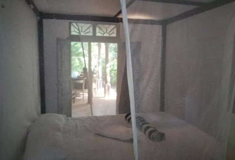 پانسیون Rock House