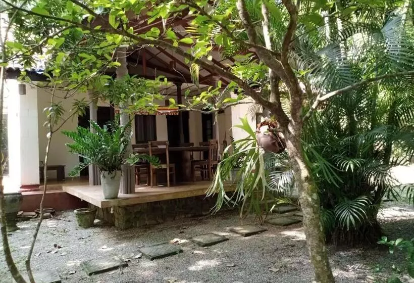 پانسیون Rock House