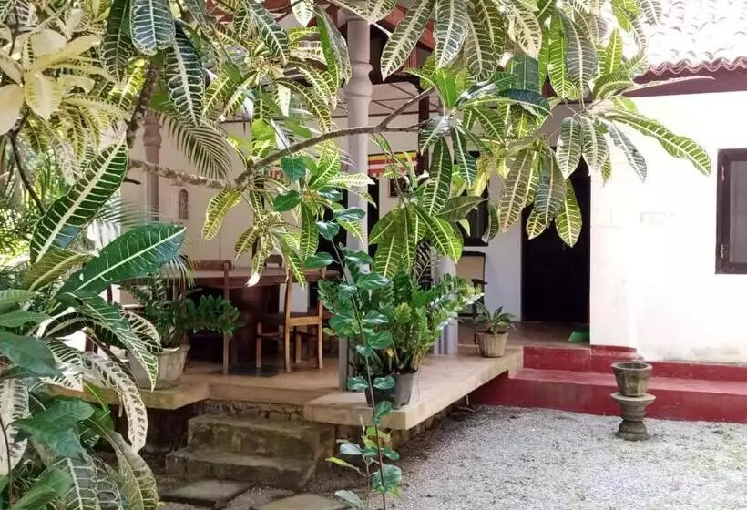 پانسیون Rock House