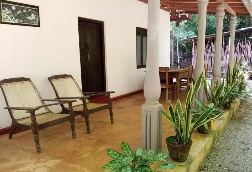 پانسیون Rock House