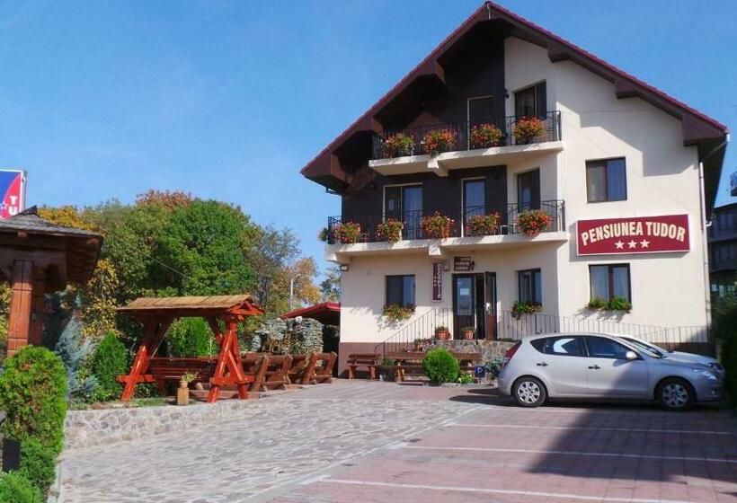 Pensiunea Tudor