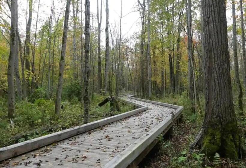 Resort Otel King & Queen Bed, Pool, Firepit, Fully Stocked