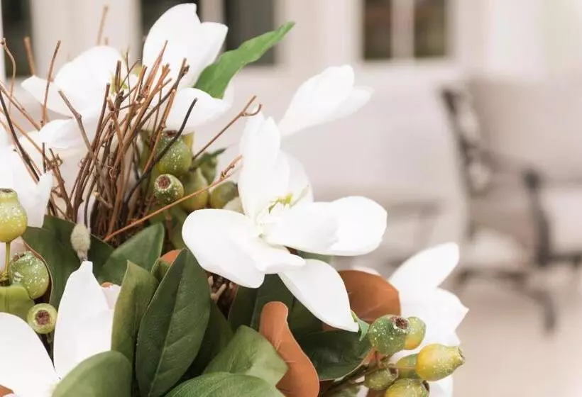 Aamiaismajoitus (B&B) Haven House