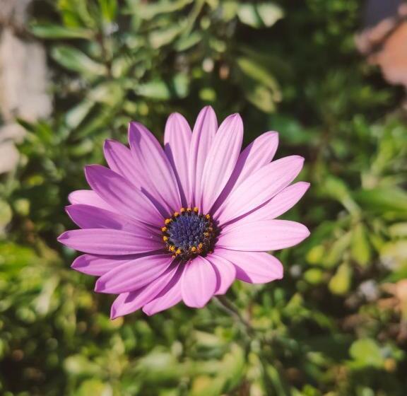 مبيت وإفطار Villa Les Chariotins