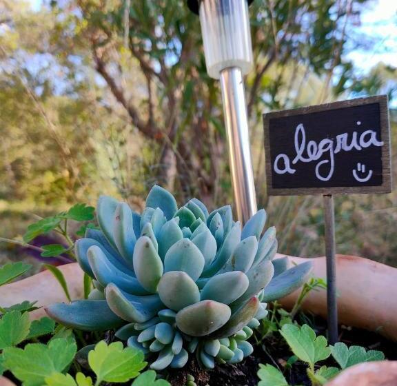 مبيت وإفطار Villa Les Chariotins