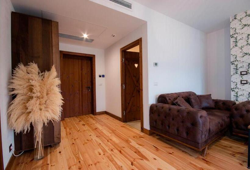 هتل Hanul Bucovinei