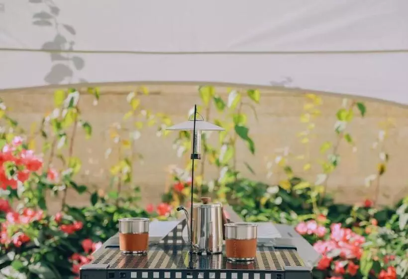 ホテル Hyatt Regency Sanya Tianli Bay