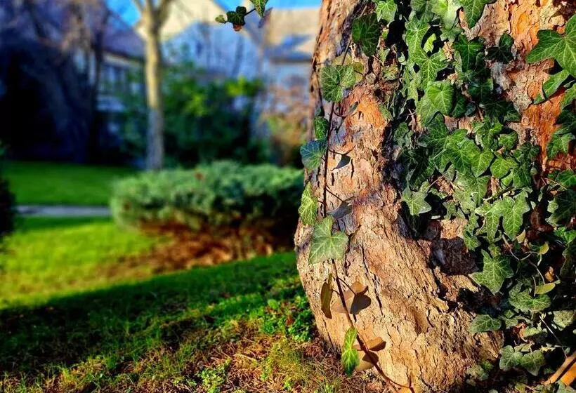 پانسیون Füge Villa Luxury & Wellness