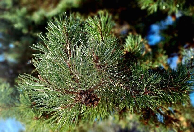 펜션 Füge Villa Luxury & Wellness