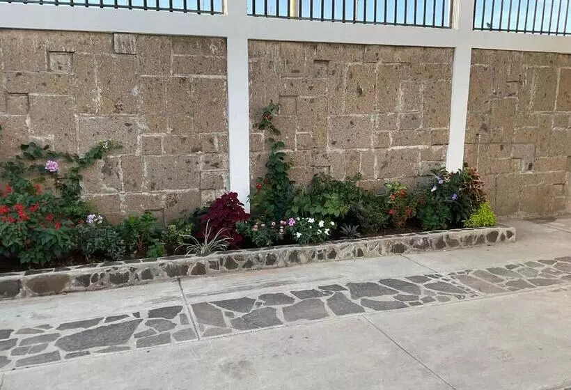 پانسیون Wally’s Place