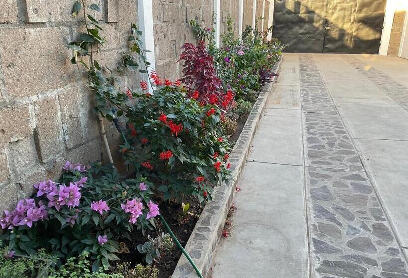 پانسیون Wally’s Place