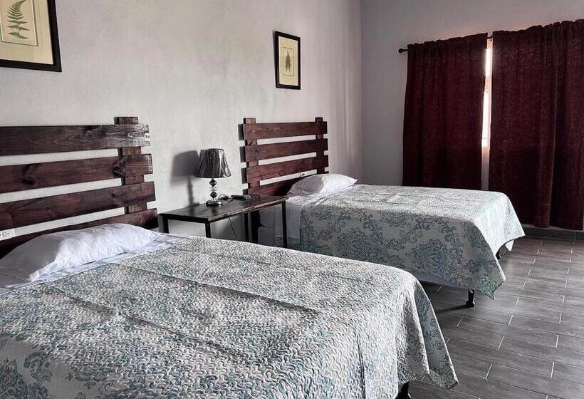 پانسیون Wally’s Place