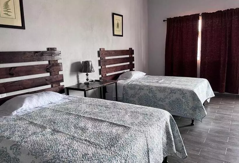 پانسیون Wally’s Place