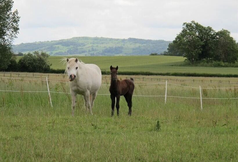 مبيت وإفطار Bluebell Farm