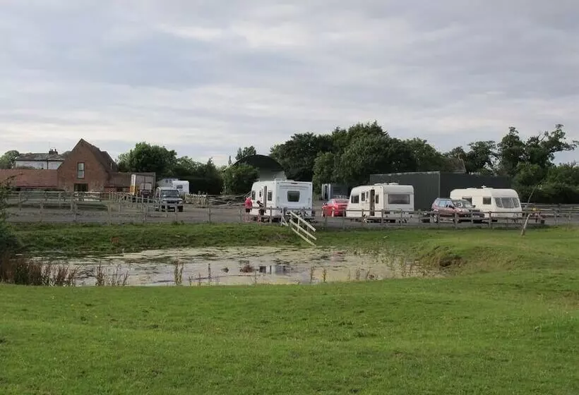 Bed and Breakfast Bluebell Farm