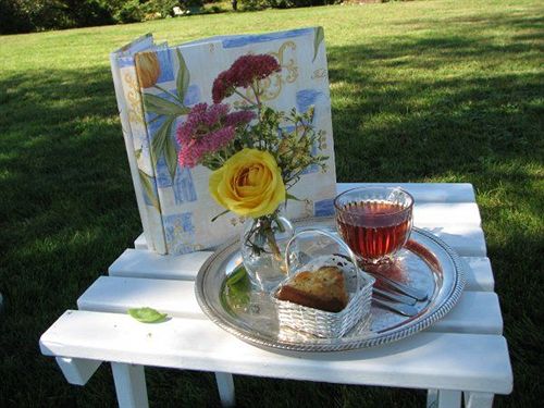 مبيت وإفطار Point Pleasant Inn & Resort