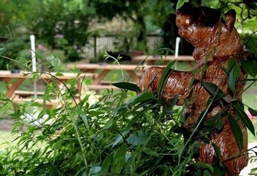 צימר The Bent Arms