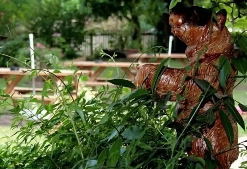 צימר The Bent Arms